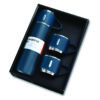 Premium Vacuum Flask Set